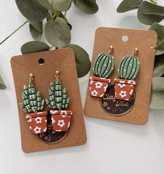 Daisy Pot Plants